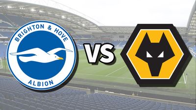Brighton vs Wolves live stream: How to watch Premier League game online