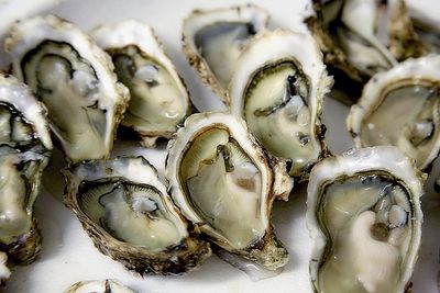 California Norovirus Outbreak: Over 200 Cases Reported; Officials Warn To Avoid Eating Raw Oysters From Mexico
