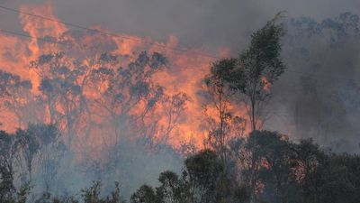 Study warns of worse bushfires after burn-offs, logging