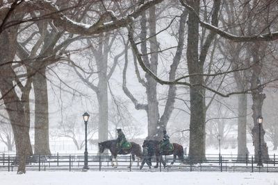 Snow and storms across US as 55 reported killed in winter weather