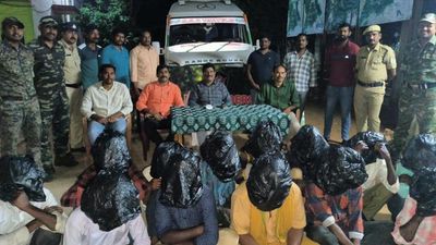 Anti-Smuggling Task Force nabs 20 red sanders operatives in Nellore, Annamayya