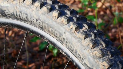 e*thirteen Grappler MoPo enduro and downhill tire review – grippy gravity heavyweight