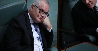 Former prime minister Scott Morrison announces retirement from politics