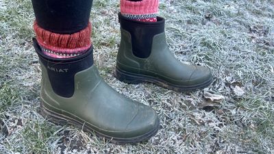 I’ve walked 100 miles in these waterproof boots — here’s my verdict