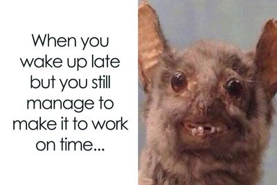 114 Funny And Relatable Memes To Help You Get Through The Work Day