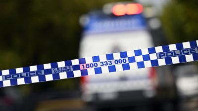Protesters charged after businesses stormed