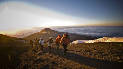 "Deeply humiliated" Kilimanjaro tour organizer leaves trekkers stranded in Tanzania as funds disappear
