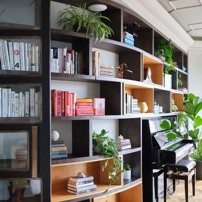 7 of the best low-light houseplants that will thrive in shady nooks and corners in the home