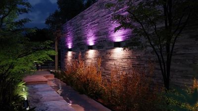 Philips Hue brightens up your January with new outdoor and indoor lights
