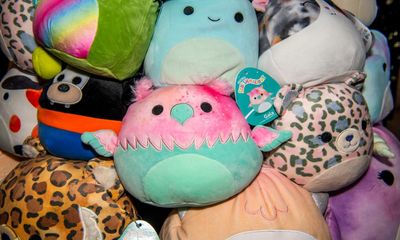 Squishmallows success fails to cushion impact of £200m drop in UK toy sales