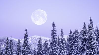 January's full 'Wolf Moon' rises Thursday. Here's how to see it at its best.