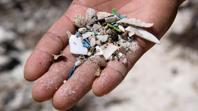Plastic makes up the majority of Aussie marine litter