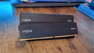 Crucial DDR5 Pro review: "Is less really more?"