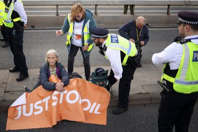 UN expert warns of ‘severe’ crackdown on climate protestors in UK