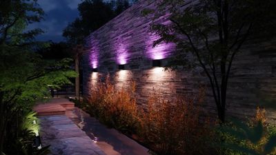 Philips Hue launches new indoor and outdoor lighting and a pricey floodlight camera