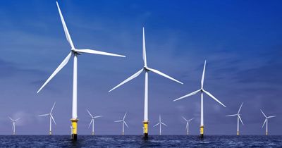 Wind shapes as valuable piece in modern energy jigsaw