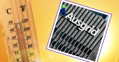 Ausgrid postpones planned works in Hunter amid heatwave conditions