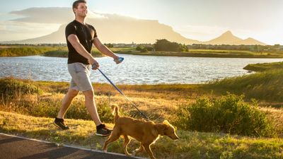 Want to try a new dog walk route? Trainer shares 3 tips for doubling it up as a training exercise