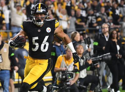 Alex Highsmith: Check out the best 2023 season pics of the Steelers EDGE