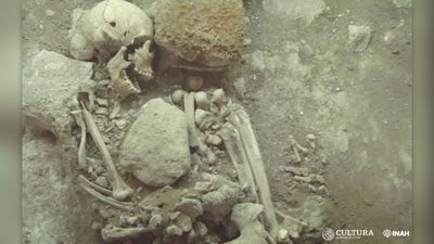 Mysterious skeleton found in Hernán Cortés' palace revealed to be Indigenous woman, not Spanish monk
