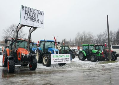 Polish Farmers Protest Against 'Uncontrolled' Ukraine Imports