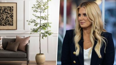 'Don't let people shame you for using faux plants' – Shea McGee proves that decorating with fake greenery can be just as stylish
