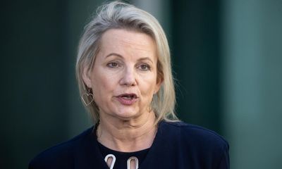 Sussan Ley retreats from comments suggesting Coalition would repeal Labor’s stage-three tax cut changes