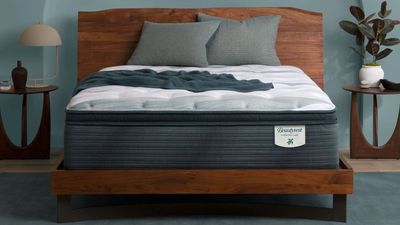 What is the Beautyrest Harmony Lux mattress and should you buy it in the Presidents' Day sales?