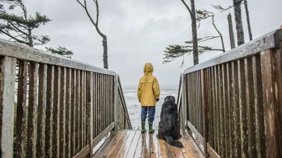 4 ways to calm your dog during windy and bad weather, according to a behaviorist