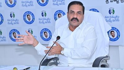 No truth in TDP’s allegation that container terminal at Krishnapatnam Port is being closed, says Agriculture Minister