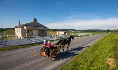 Amish family’s horse and buggy stolen outside Michigan Walmart