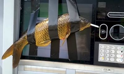 ‘Fish Bandit’ arrested for taping fish to ATM machines