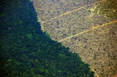 Amazon Rainforest Faces Devastating Drought as Climate Crisis Worsens