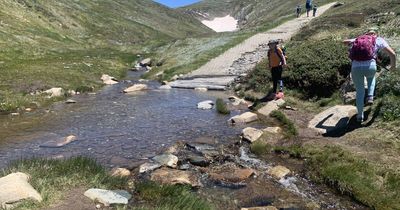 I knew it: Kosciuszko's summer snow patches are disappearing