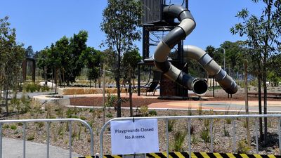 Asbestos fragments found in Sydney council park mulch