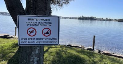 'Odorous and discoloured': bay off limits after wastewater overflow