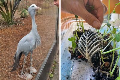 50 Times People Had To Look Twice To Truly Understand The Things That Were In Front Of Them (New Pics)