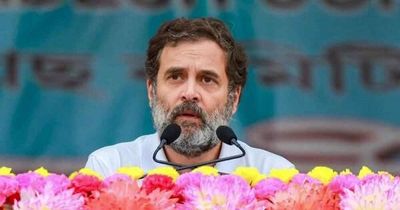 Rahul Gandhi: 'Constitution is soul of the Indian Republic... Protect it...'