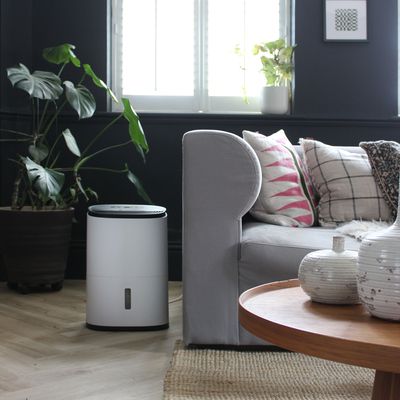 5 ways to disguise a dehumidifier to keep your home damp (and eyesore) free