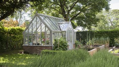 Why I plan on cleaning my greenhouse this weekend – expert advice on how to get the job done right