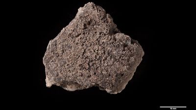Even Stone Age people burned their porridge, 5,000-year-old food-scorched clay pot reveals