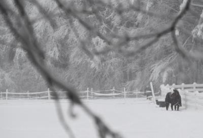 Northeast faces wintry mix and potential snow this weekend