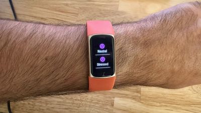 Your next Fitbit or Pixel Watch could monitor your mental health