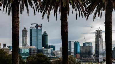 Tree drop in Perth's Kings Park under investigation