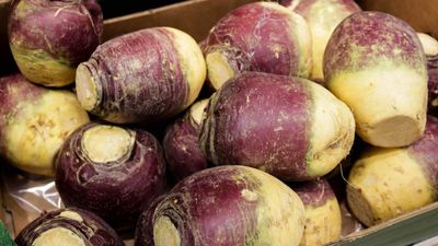 How to grow rutabaga – tips for growing this underappreciated sweet and earthy crop from seed