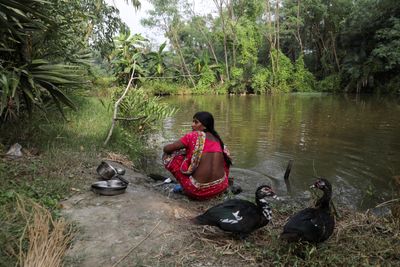 The Sundarbans dilemma: Islands swallowed by water, and nowhere else to go