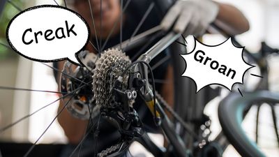 'Modern carbon frames are essentially large acoustic tubes': Undercover Mechanic and the problem with creaks