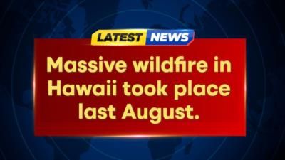 Hawaii Fire: Last Victim of Massive Wildfire Identified After Months