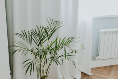 How to Protect Houseplants From Central Heating, According to Experts