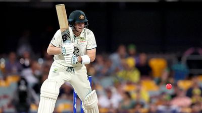 AUS vs WI pink ball Test | Steve Smith guides Australia to healthy position at stumps